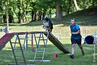 019 ISKA -17062017-ATE 4924AGILITY 2 : 17 JUIN 2017, 2017, AGILITY 2, AGILITY L'ISLE ADAM 2017, CAT.C, D43, ISKA L'EUSKALDUNA