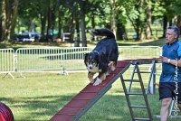 020 ISKA -17062017-ATE 4925AGILITY 2 : 17 JUIN 2017, 2017, AGILITY 2, AGILITY L'ISLE ADAM 2017, CAT.C, D43, ISKA L'EUSKALDUNA