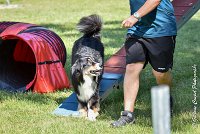 021 ISKA -17062017-ATE 4926AGILITY 2 : 17 JUIN 2017, 2017, AGILITY 2, AGILITY L'ISLE ADAM 2017, CAT.C, D43, ISKA L'EUSKALDUNA