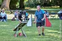 022 ISKA -17062017-ATE 4927AGILITY 2-Modifier : 17 JUIN 2017, 2017, AGILITY 2, AGILITY L'ISLE ADAM 2017, CAT.C, D43, ISKA L'EUSKALDUNA