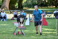 023 ISKA -17062017-ATE 4928AGILITY 2-Modifier : 17 JUIN 2017, 2017, AGILITY 2, AGILITY L'ISLE ADAM 2017, CAT.C, D43, ISKA L'EUSKALDUNA