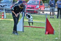 006 LE JOCKER -17062017-ATE 2917Epreuve ouverte : 17 JUIN 2017, 2017, AGILITY L'ISLE ADAM 2017, CAT.C, D31, EPREUVE OUVERTE, LE JOCKER