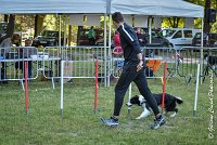 008 LE JOCKER -17062017-ATE 2921Epreuve ouverte : 17 JUIN 2017, 2017, AGILITY L'ISLE ADAM 2017, CAT.C, D31, EPREUVE OUVERTE, LE JOCKER