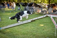 010 LE JOCKER -17062017-ATE 2924Epreuve ouverte : 17 JUIN 2017, 2017, AGILITY L'ISLE ADAM 2017, CAT.C, D31, EPREUVE OUVERTE, LE JOCKER