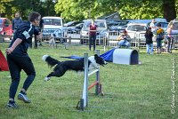 012 LE JOCKER -17062017-ATE 2926Epreuve ouverte : 17 JUIN 2017, 2017, AGILITY L'ISLE ADAM 2017, CAT.C, D31, EPREUVE OUVERTE, LE JOCKER