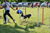 015 LE JOCKER -17062017-ATE 4363AGILITY 1 : 17 JUIN 2017, 2017, AGILITY 1, AGILITY L'ISLE ADAM 2017, D31, LE JOCKER