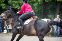 0004 Moussy le neuf  - CLAIRE -6857 : 2016, 5 JUIN 2016, Claire, JUMPING MOUSSY LE NEUF, SAUT D'OBSTACLE