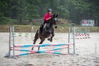 0008 Moussy le neuf  - CLAIRE -6861 : 2016, 5 JUIN 2016, Claire, JUMPING MOUSSY LE NEUF, SAUT D'OBSTACLE