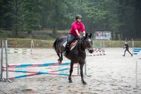 0009 Moussy le neuf  - CLAIRE -6862 : 2016, 5 JUIN 2016, Claire, JUMPING MOUSSY LE NEUF, SAUT D'OBSTACLE