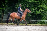 0004 Moussy le neuf  - CLAUDINE -6876 : 2016, 5 JUIN 2016, Claudine, JUMPING MOUSSY LE NEUF, SAUT D'OBSTACLE