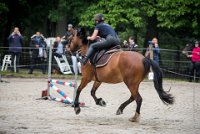 0013 Moussy le neuf  - CLAUDINE -6885 : 2016, 5 JUIN 2016, Claudine, JUMPING MOUSSY LE NEUF, SAUT D'OBSTACLE