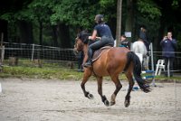 0015 Moussy le neuf  - CLAUDINE -6887 : 2016, 5 JUIN 2016, Claudine, JUMPING MOUSSY LE NEUF, SAUT D'OBSTACLE