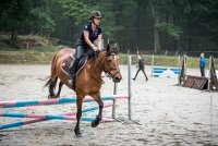 0023 Moussy le neuf  - CLAUDINE -6894 : 2016, 5 JUIN 2016, Claudine, JUMPING MOUSSY LE NEUF, SAUT D'OBSTACLE