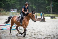 0024 Moussy le neuf  - CLAUDINE -6895 : 2016, 5 JUIN 2016, Claudine, JUMPING MOUSSY LE NEUF, SAUT D'OBSTACLE