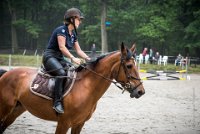 0025 Moussy le neuf  - CLAUDINE -6896 : 2016, 5 JUIN 2016, Claudine, JUMPING MOUSSY LE NEUF, SAUT D'OBSTACLE