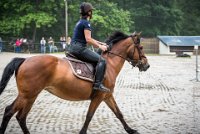 0027 Moussy le neuf  - CLAUDINE -6898 : 2016, 5 JUIN 2016, Claudine, JUMPING MOUSSY LE NEUF, SAUT D'OBSTACLE