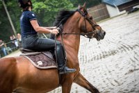 0029 Moussy le neuf  - CLAUDINE -6898 : 2016, 5 JUIN 2016, Claudine, JUMPING MOUSSY LE NEUF, SAUT D'OBSTACLE