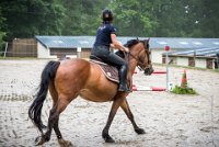 0030 Moussy le neuf  - CLAUDINE -6899 : 2016, 5 JUIN 2016, Claudine, JUMPING MOUSSY LE NEUF, SAUT D'OBSTACLE