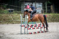 0033 Moussy le neuf  - CLAUDINE - : 2016, 5 JUIN 2016, Claudine, JUMPING MOUSSY LE NEUF, SAUT D'OBSTACLE