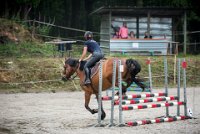 0034 Moussy le neuf  - CLAUDINE -6903 : 2016, 5 JUIN 2016, Claudine, JUMPING MOUSSY LE NEUF, SAUT D'OBSTACLE