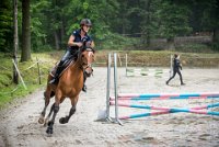 0036 Moussy le neuf  - CLAUDINE -6905 : 2016, 5 JUIN 2016, Claudine, JUMPING MOUSSY LE NEUF, SAUT D'OBSTACLE