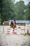 0038 Moussy le neuf  - CLAUDINE -6907 : 2016, 5 JUIN 2016, Claudine, JUMPING MOUSSY LE NEUF, SAUT D'OBSTACLE