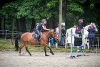 0042 Moussy le neuf  - CLAUDINE -6911 : 2016, 5 JUIN 2016, Claudine, JUMPING MOUSSY LE NEUF, SAUT D'OBSTACLE