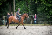 0045 Moussy le neuf  - CLAUDINE -6914 : 2016, 5 JUIN 2016, Claudine, JUMPING MOUSSY LE NEUF, SAUT D'OBSTACLE