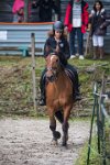 0002 Moussy le neuf  - CAV16 -7309 : 2016, 5 JUIN 2016, CAV16, JUMPING MOUSSY LE NEUF, SAUT D'OBSTACLE