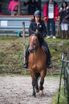 0003 Moussy le neuf  - CAV16 -7310 : 2016, 5 JUIN 2016, CAV16, JUMPING MOUSSY LE NEUF, SAUT D'OBSTACLE