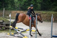 0017 Moussy le neuf  - CAV16 -7324 : 2016, 5 JUIN 2016, CAV16, JUMPING MOUSSY LE NEUF, SAUT D'OBSTACLE