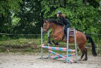 0018 Moussy le neuf  - CAV16 -7325 : 2016, 5 JUIN 2016, CAV16, JUMPING MOUSSY LE NEUF, SAUT D'OBSTACLE