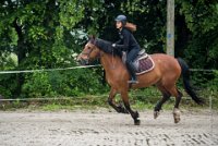 0021 Moussy le neuf  - CAV16 -7328 : 2016, 5 JUIN 2016, CAV16, JUMPING MOUSSY LE NEUF, SAUT D'OBSTACLE