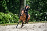 0022 Moussy le neuf  - CAV16 -7329 : 2016, 5 JUIN 2016, CAV16, JUMPING MOUSSY LE NEUF, SAUT D'OBSTACLE