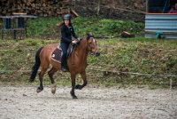 0023 Moussy le neuf  - CAV16 -7330 : 2016, 5 JUIN 2016, CAV16, JUMPING MOUSSY LE NEUF, SAUT D'OBSTACLE