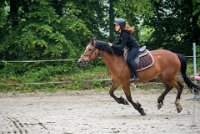 0026 Moussy le neuf  - CAV16 -7333 : 2016, 5 JUIN 2016, CAV16, JUMPING MOUSSY LE NEUF, SAUT D'OBSTACLE