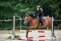 0027 Moussy le neuf  - CAV16 -7334 : 2016, 5 JUIN 2016, CAV16, JUMPING MOUSSY LE NEUF, SAUT D'OBSTACLE