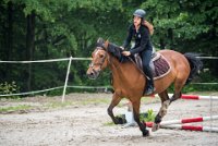 0028 Moussy le neuf  - CAV16 -7335 : 2016, 5 JUIN 2016, CAV16, JUMPING MOUSSY LE NEUF, SAUT D'OBSTACLE