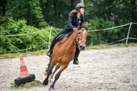 0029 Moussy le neuf  - CAV16 -7336 : 2016, 5 JUIN 2016, CAV16, JUMPING MOUSSY LE NEUF, SAUT D'OBSTACLE