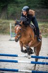 0034 Moussy le neuf  - CAV16 -7341 : 2016, 5 JUIN 2016, CAV16, JUMPING MOUSSY LE NEUF, SAUT D'OBSTACLE