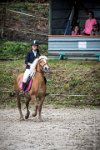 0004 Moussy le neuf  - CASSANDRE -7347 : 2016, 5 JUIN 2016, Cassandre, JUMPING MOUSSY LE NEUF, SAUT D'OBSTACLE