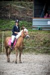 0005 Moussy le neuf  - CASSANDRE -7348 : 2016, 5 JUIN 2016, Cassandre, JUMPING MOUSSY LE NEUF, SAUT D'OBSTACLE