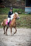 0006 Moussy le neuf  - CASSANDRE -7349 : 2016, 5 JUIN 2016, Cassandre, JUMPING MOUSSY LE NEUF, SAUT D'OBSTACLE