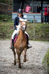 0009 Moussy le neuf  - CASSANDRE -7352 : 2016, 5 JUIN 2016, Cassandre, JUMPING MOUSSY LE NEUF, SAUT D'OBSTACLE