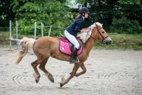 0014 Moussy le neuf  - CASSANDRE -7357 : 2016, 5 JUIN 2016, Cassandre, JUMPING MOUSSY LE NEUF, SAUT D'OBSTACLE