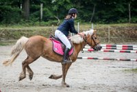 0015 Moussy le neuf  - CASSANDRE -7358 : 2016, 5 JUIN 2016, Cassandre, JUMPING MOUSSY LE NEUF, SAUT D'OBSTACLE