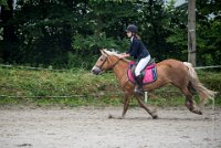 0017 Moussy le neuf  - CASSANDRE -7360 : 2016, 5 JUIN 2016, Cassandre, JUMPING MOUSSY LE NEUF, SAUT D'OBSTACLE