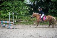 0018 Moussy le neuf  - CASSANDRE -7361 : 2016, 5 JUIN 2016, Cassandre, JUMPING MOUSSY LE NEUF, SAUT D'OBSTACLE