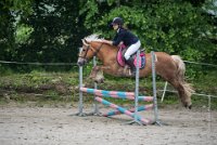 0019 Moussy le neuf  - CASSANDRE -7362 : 2016, 5 JUIN 2016, Cassandre, JUMPING MOUSSY LE NEUF, SAUT D'OBSTACLE