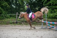 0020 Moussy le neuf  - CASSANDRE -7363 : 2016, 5 JUIN 2016, Cassandre, JUMPING MOUSSY LE NEUF, SAUT D'OBSTACLE